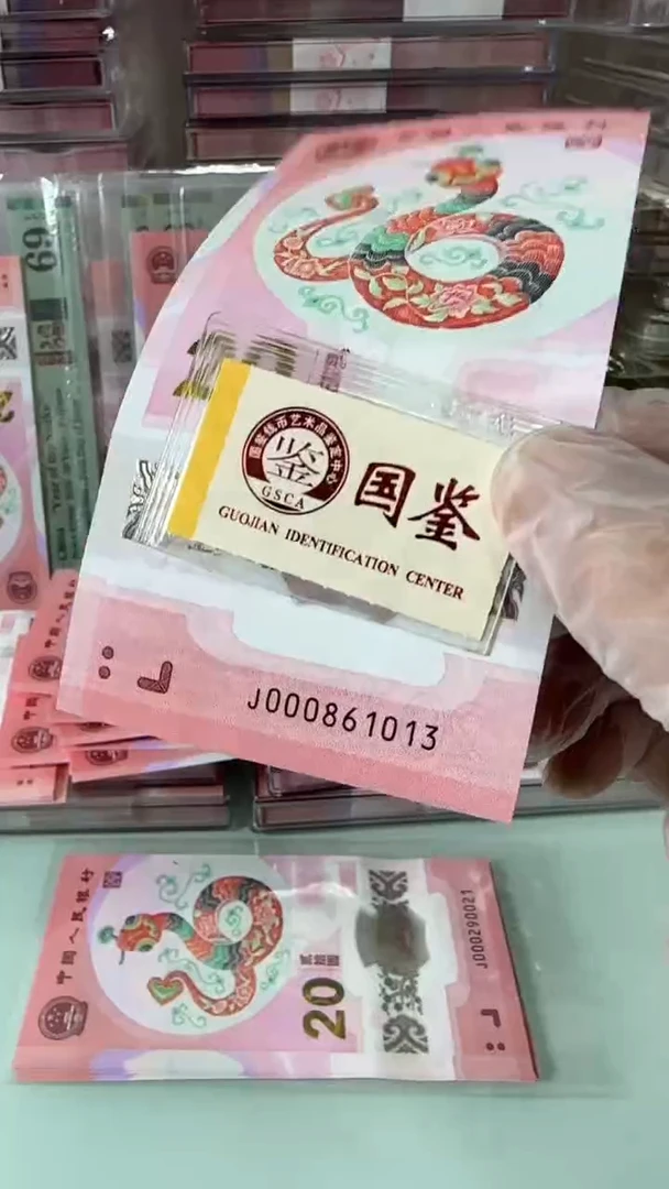 【闪购商品】塑料000861013蛇钞单张