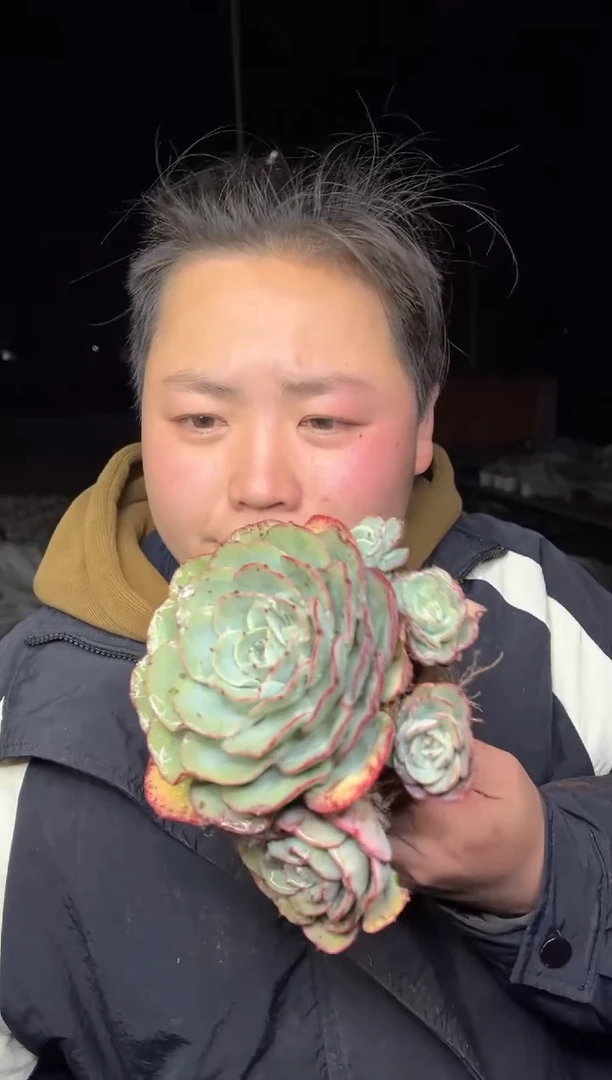 【闪购商品】128-无砍奶油黄桃5