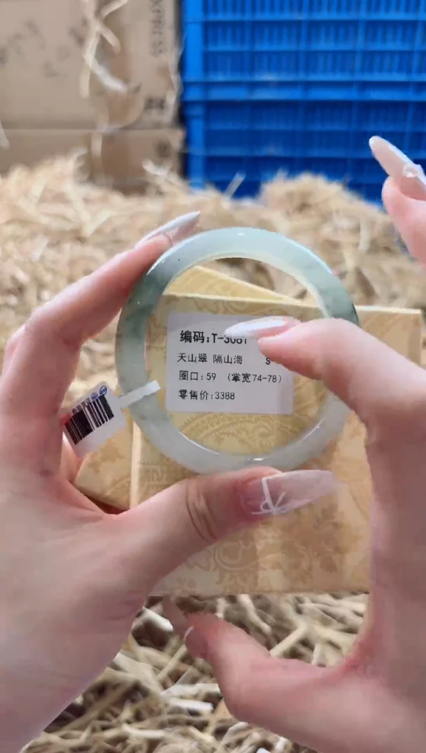 未镶嵌手镯石英质玉T-3061