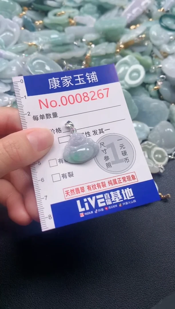 颈饰未镶嵌翡翠8267