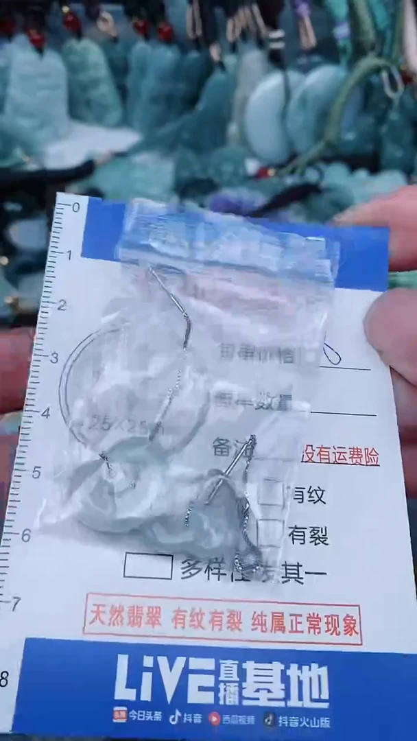 【闪购商品】翡翠颈饰未镶嵌...0003847