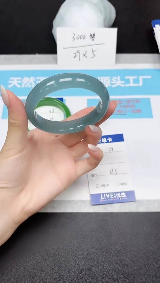 未镶嵌手镯石英质玉49-61.5