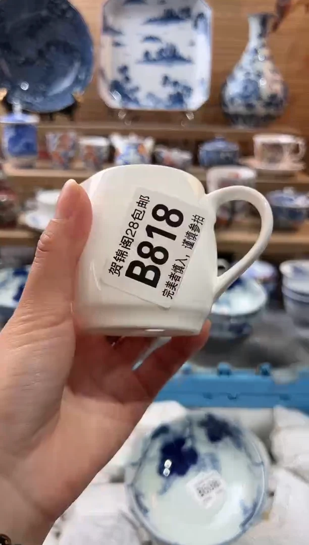 【闪购商品】瓷片当天满28米包邮B818