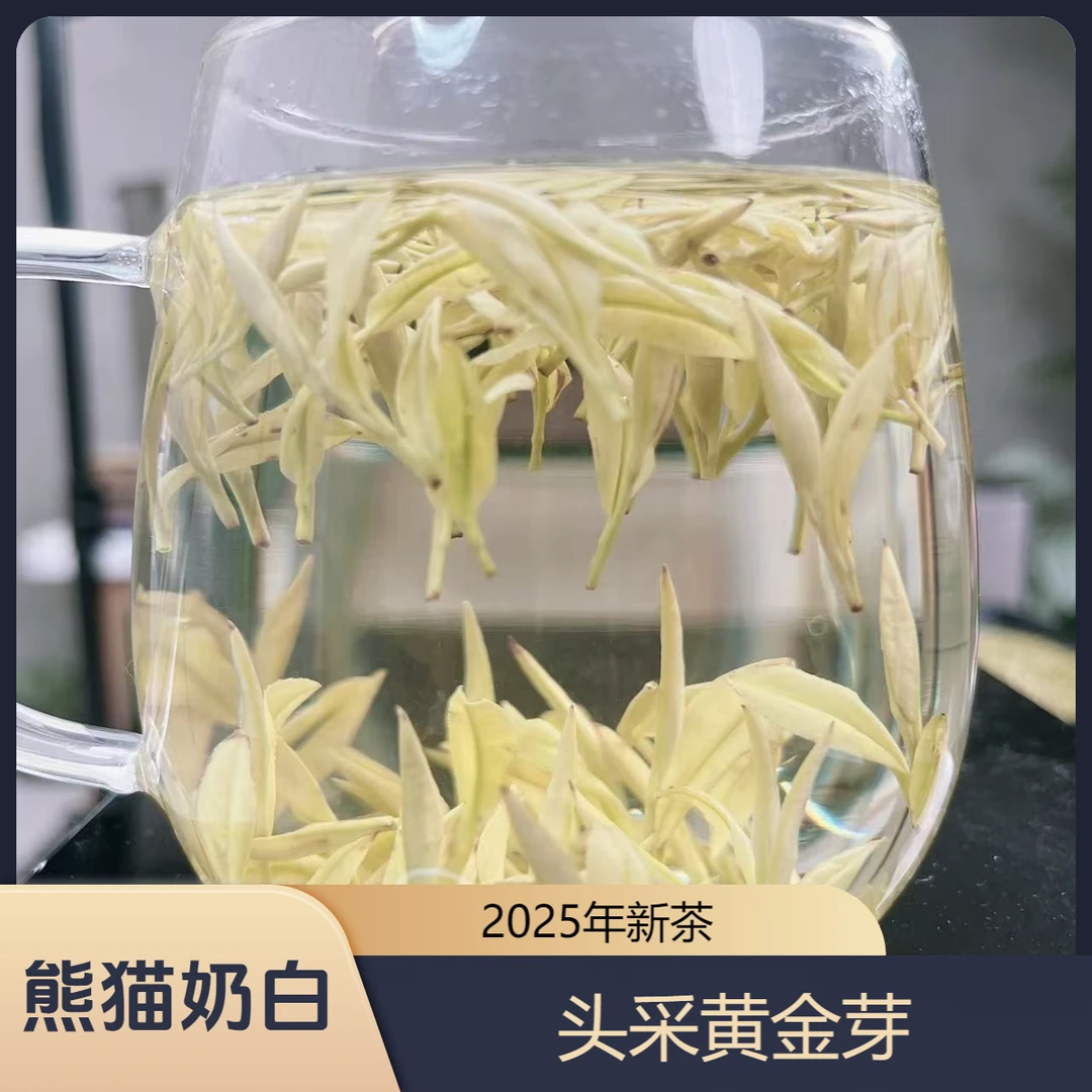2025新茶安吉高山特产白茶 高山茶 明前茶春茶 茶礼
