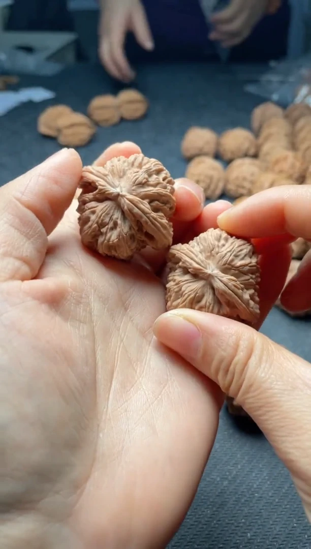 把件文玩核桃w280  白狮子 38尺