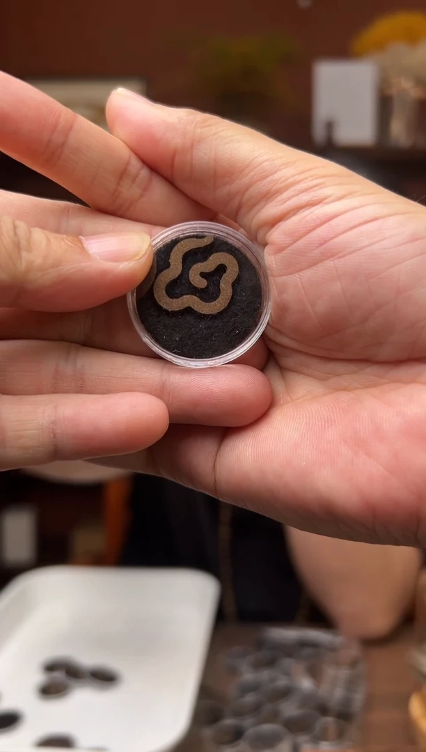 沉香沉香碎屑福利款蓝香小祥云100片，多样性发其一