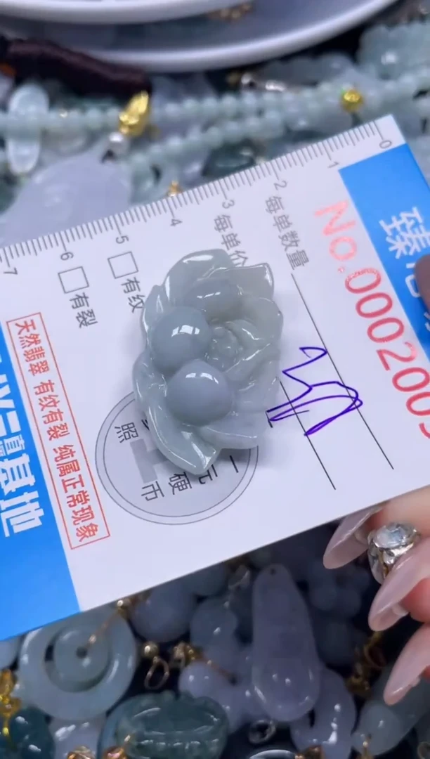 颈饰未镶嵌翡翠2005