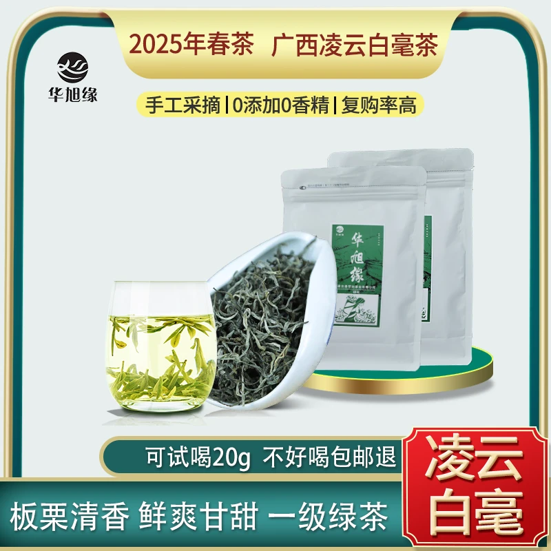 2025明前春茶 广西名茶 凌云白毫 一级绿茶 高山板栗香回甘袋装