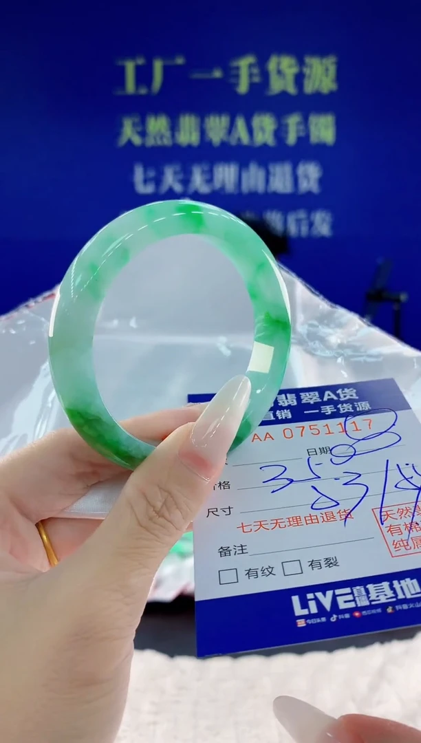 未镶嵌手镯翡翠17