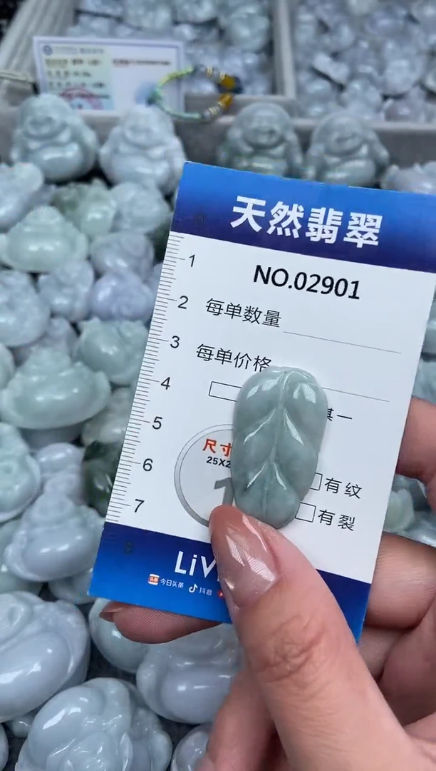 颈饰未镶嵌翡翠纯天然A货翡翠2901