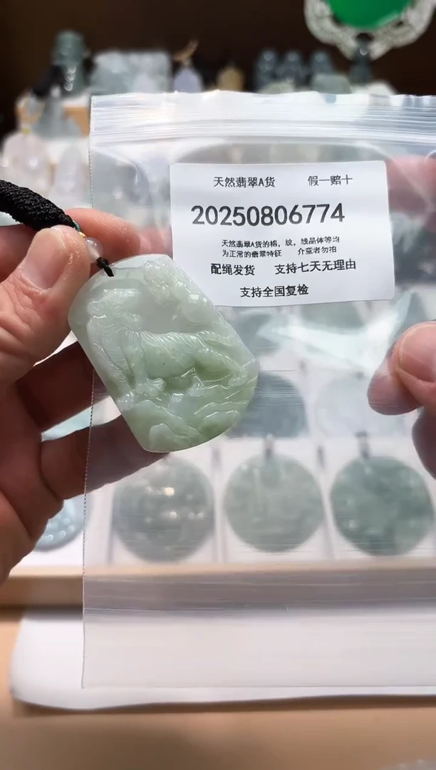 颈饰未镶嵌翡翠天然A货翡翠20250831