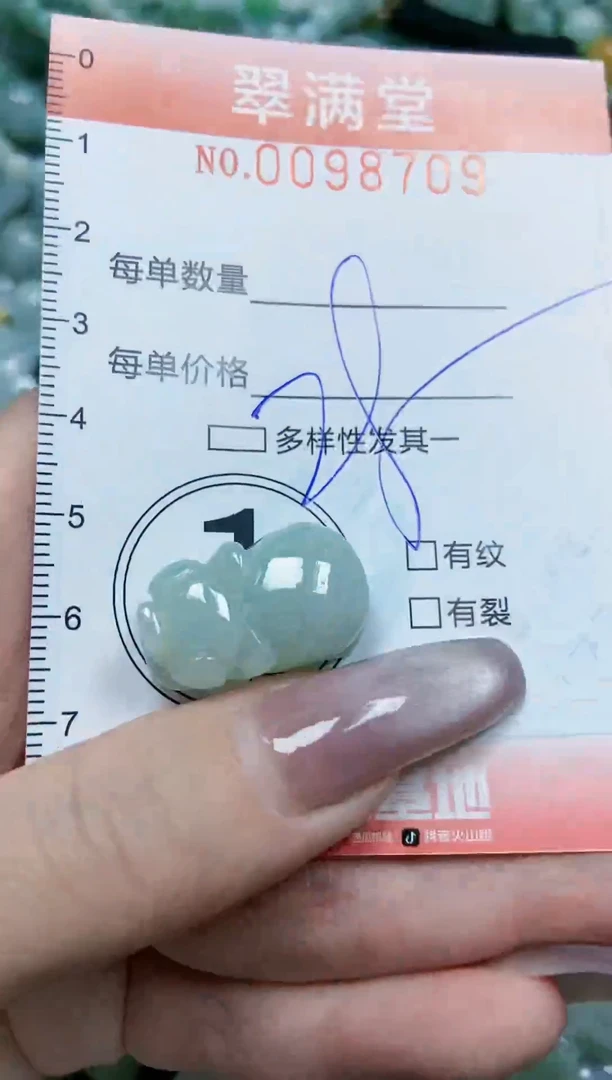 【闪购商品】翡翠颈饰未镶嵌闪购0098709