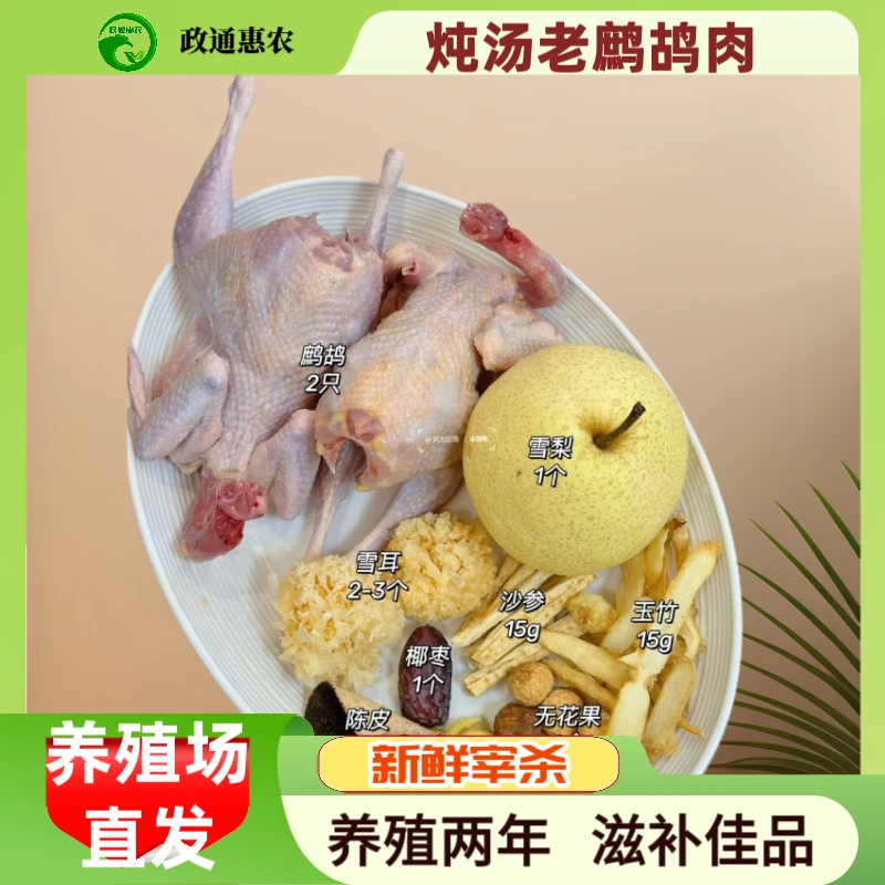 政通惠农 直播间现场称重散养老母鸡活鸡顿汤 包冰率40%及以上