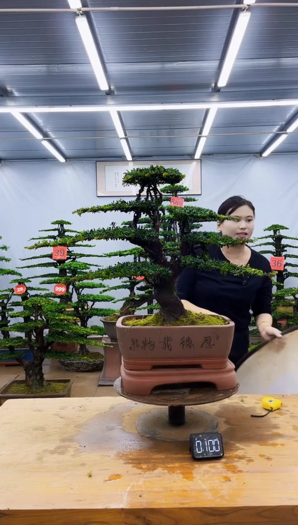 无花朵一物一拍，所见即所得