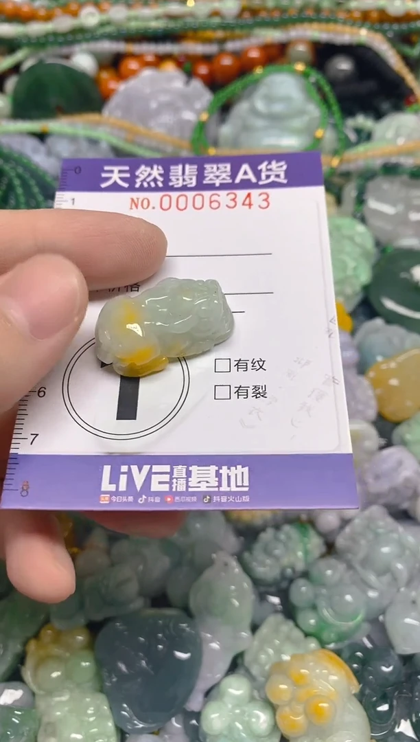 颈饰未镶嵌翡翠0006343