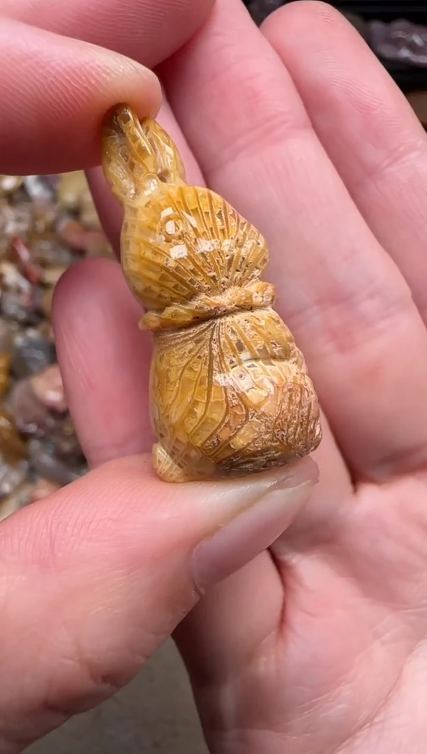 颈饰未镶嵌硅化珊瑚（珊瑚玉）335