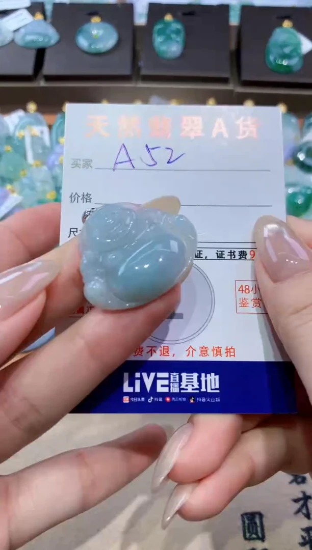 颈饰未镶嵌翡翠天然缅甸翡翠A货挂件
