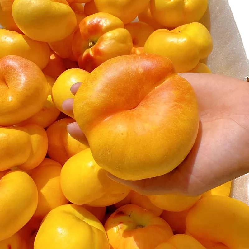 彩虹油蟠桃新鲜包邮应季水果皮薄甜嫩多汁黄金整箱