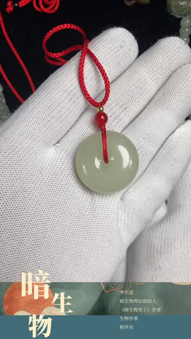 【闪购商品】和田玉吊坠(赠链)未镶嵌高价平安扣