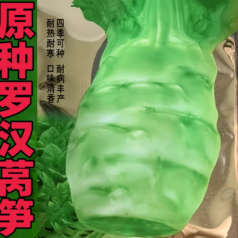 罗汉莴笋种子竹节鸡腿莴笋莴苣耐热耐寒春夏秋四季农家蔬菜种子孓