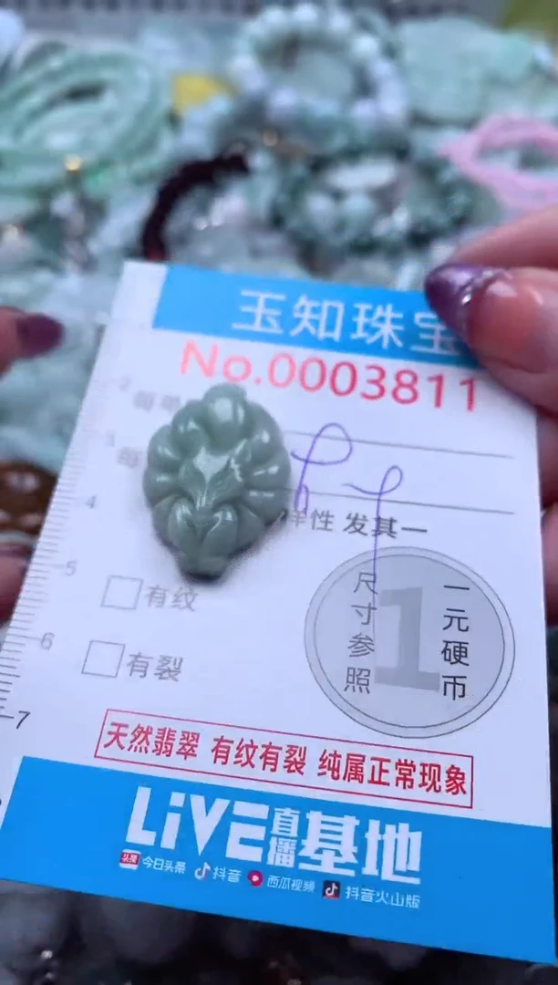 翡翠未镶嵌吊坠(不含链)3811