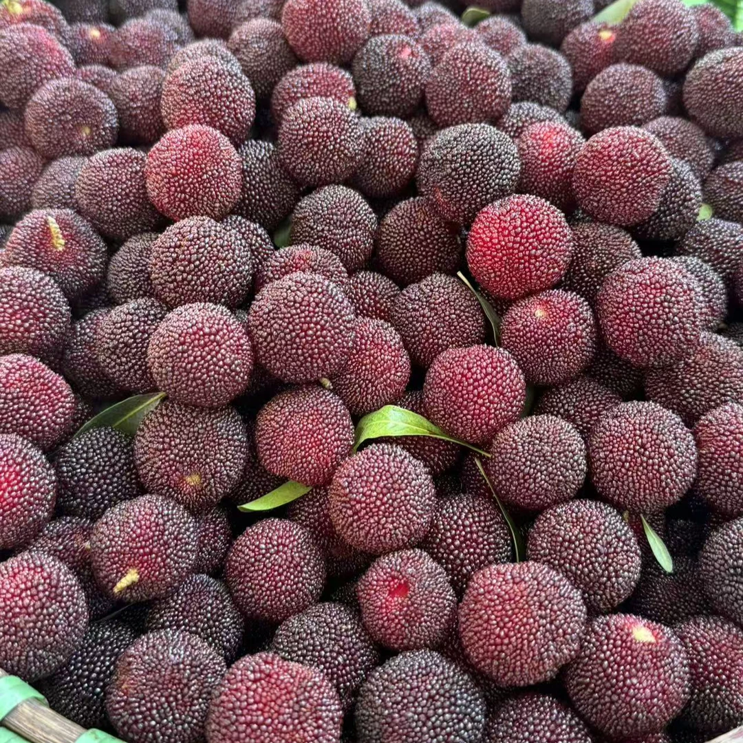 【一斤】南山纯甜杨梅g