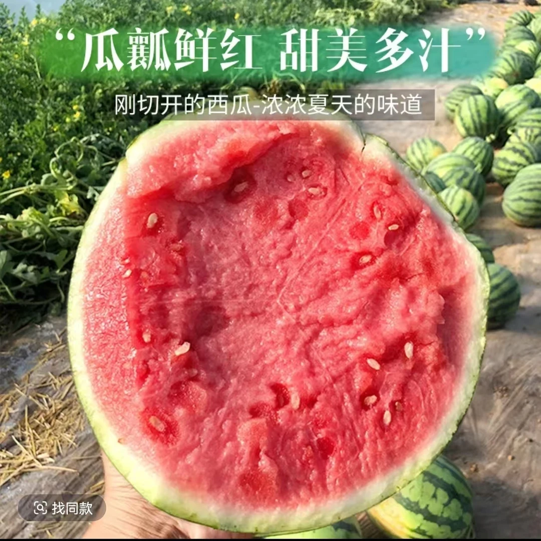 R云南麒麟甜王当季新鲜爆甜多汁薄皮西瓜现摘水果自然成熟