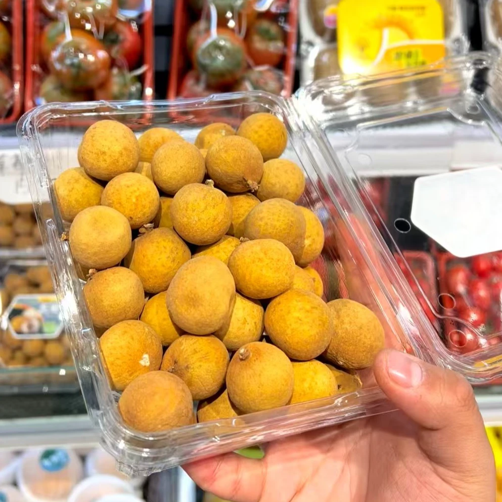 桂圆精选桂圆龙眼-1盒 约600g