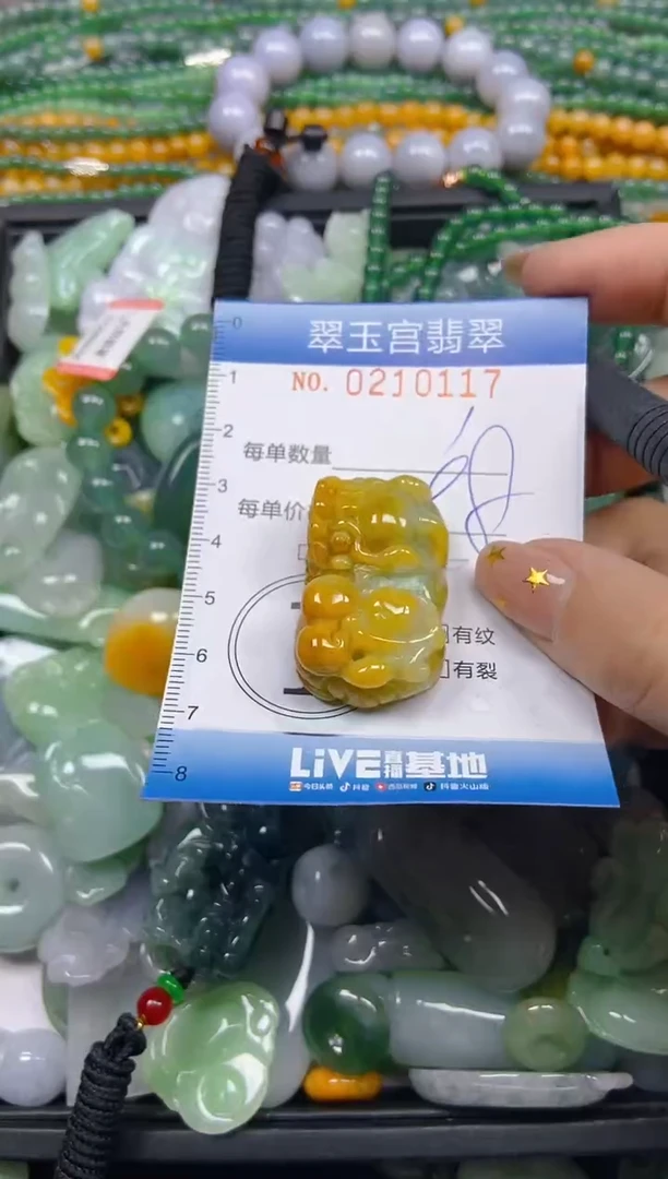 颈饰未镶嵌翡翠闪购C0210117