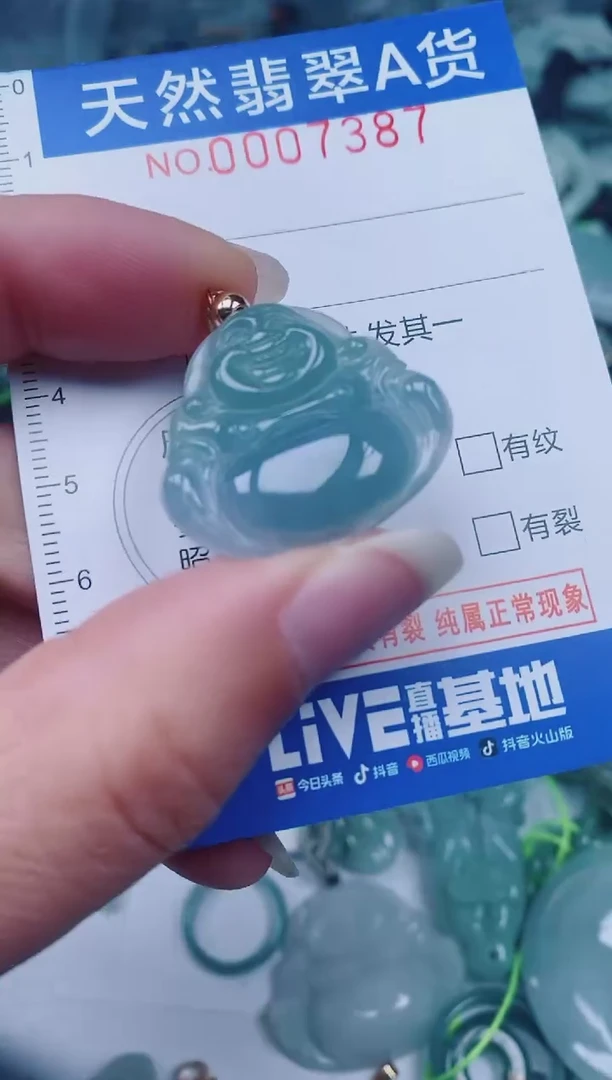 颈饰未镶嵌翡翠00007387