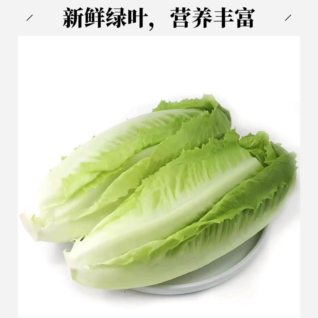 甜心罗马生菜320g【好东西】