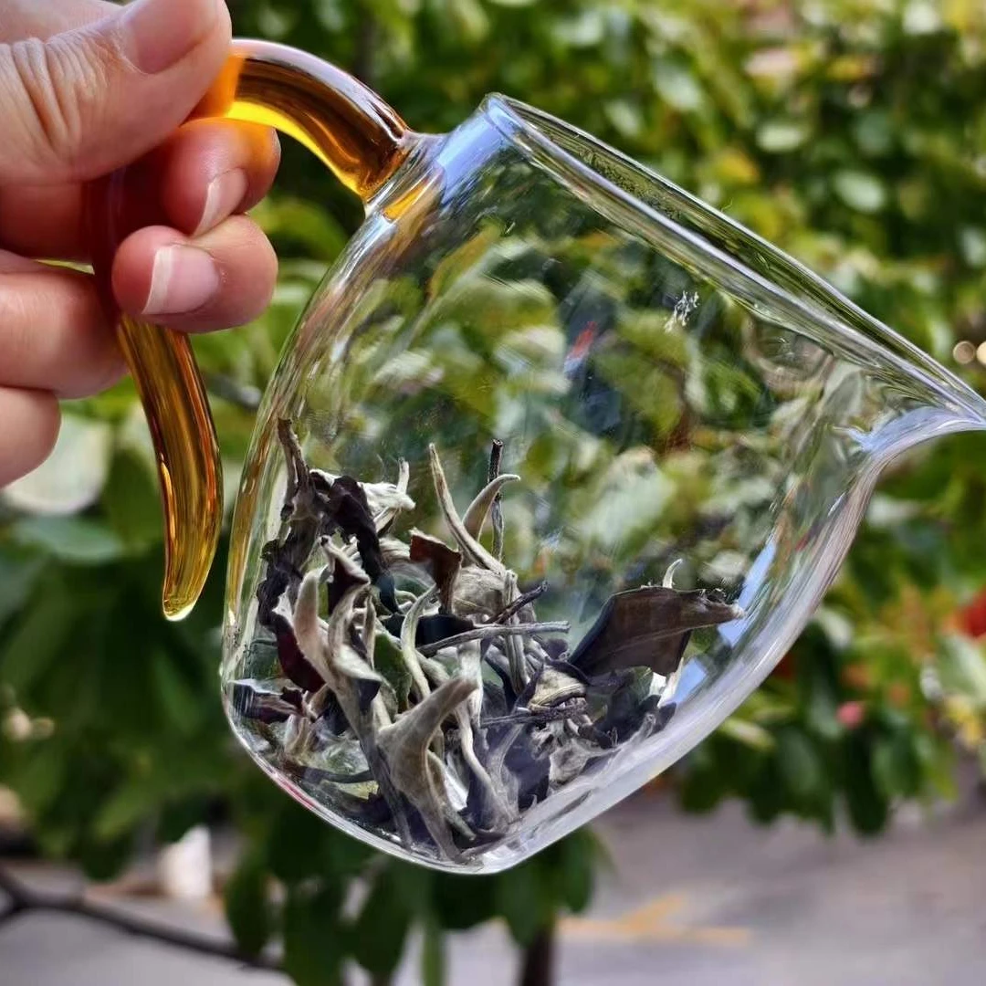 2025年玉蝴蝶100克白茶