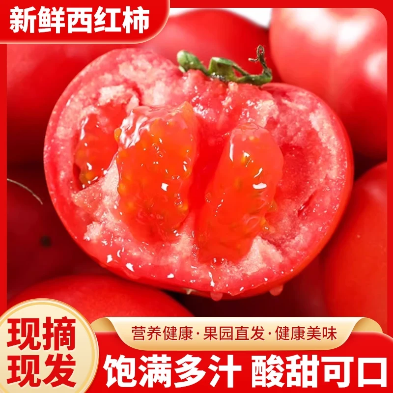 攀枝花米易高山西红柿沙瓤多汁自然熟可炒菜可生吃