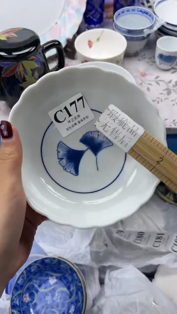 瓷片          C177