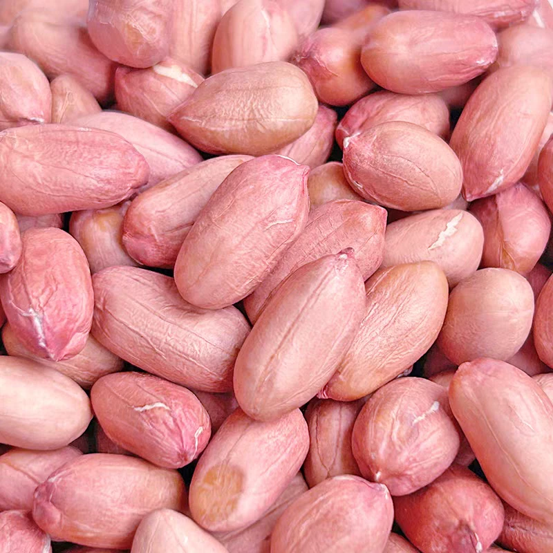 江西鄱阳土特产红皮花生花生米散装大颗粒农家下酒菜花生人工精选