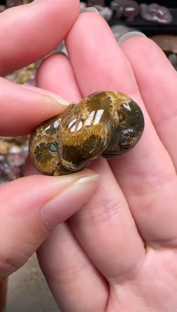 颈饰未镶嵌硅化珊瑚（珊瑚玉）728