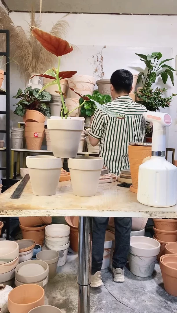 13*13灰陶国际 3盆无托