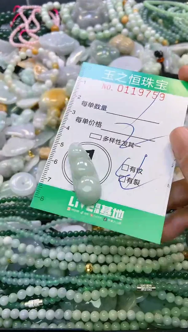 翡翠未镶嵌颈饰闪购0119759