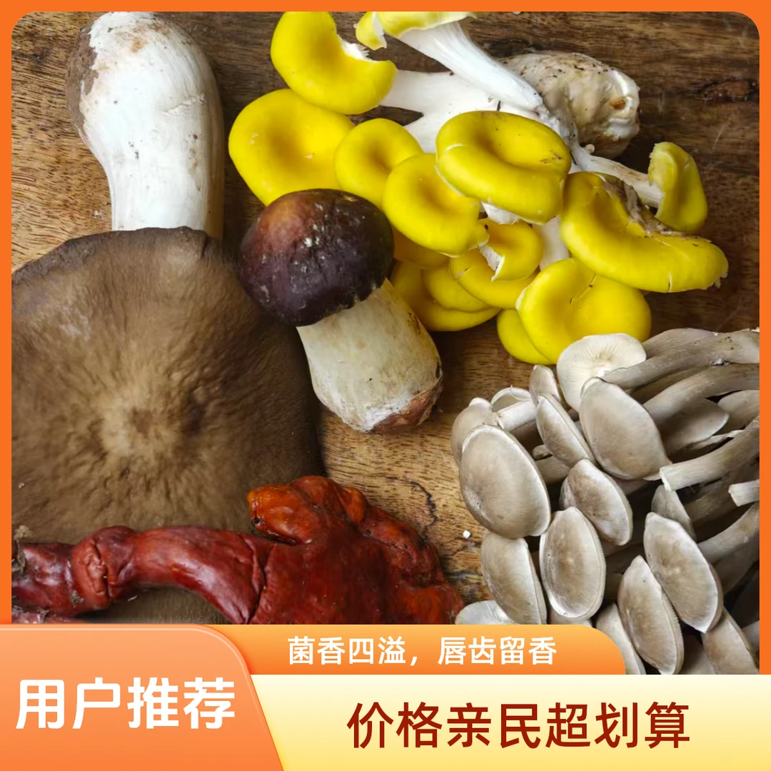 云南新鲜菌菇组合 炖汤 火锅顺丰空运（ 买一送一）