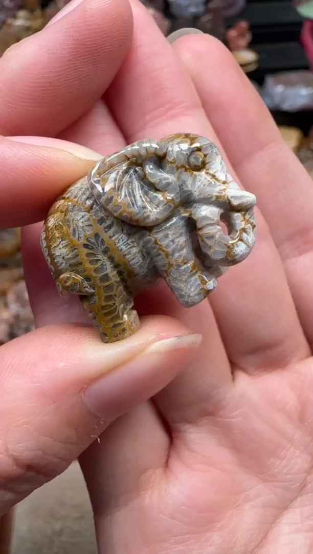 颈饰未镶嵌硅化珊瑚（珊瑚玉）654