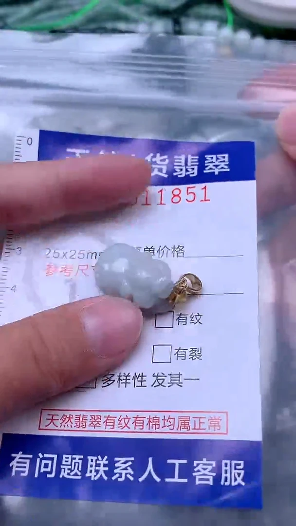 吊坠(赠链)未镶嵌翡翠1