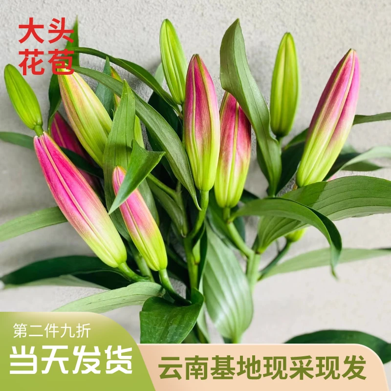 高品质红色香水百合百合花玫瑰云南昆明鲜花百合鲜花鲜花花束