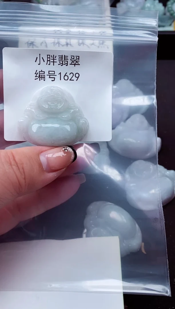 颈饰未镶嵌翡翠缅甸天然A货翡翠1629