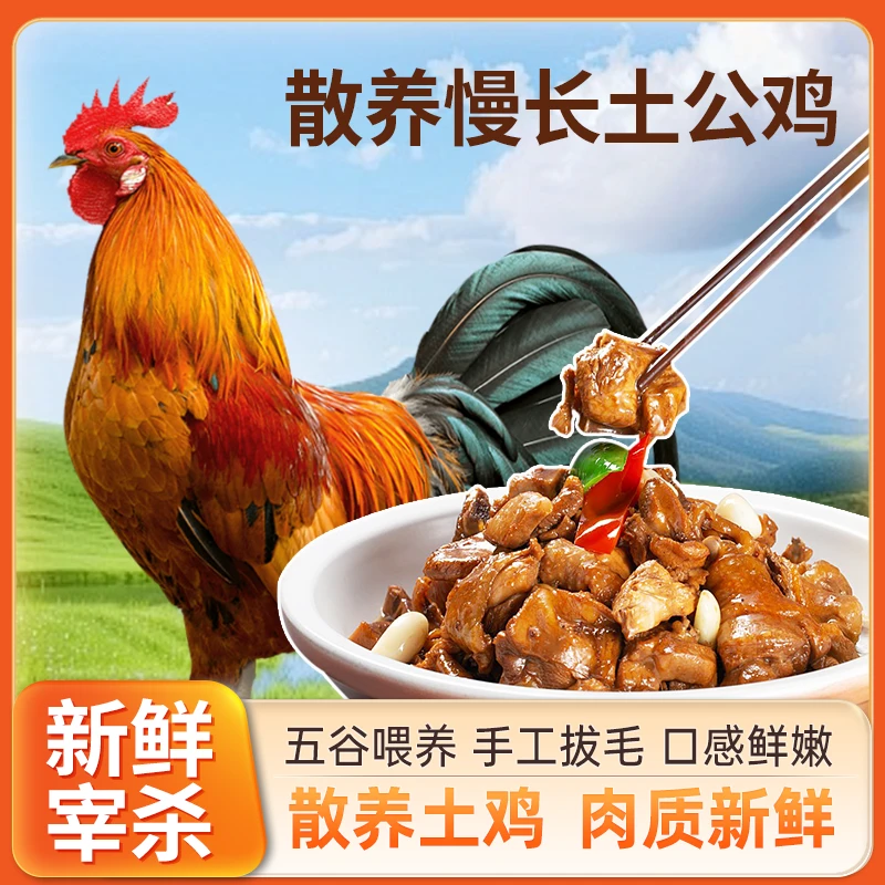 【bozaijia】散养青脚公鸡土鸡农家原生态鸡新鲜美味两只6斤以上