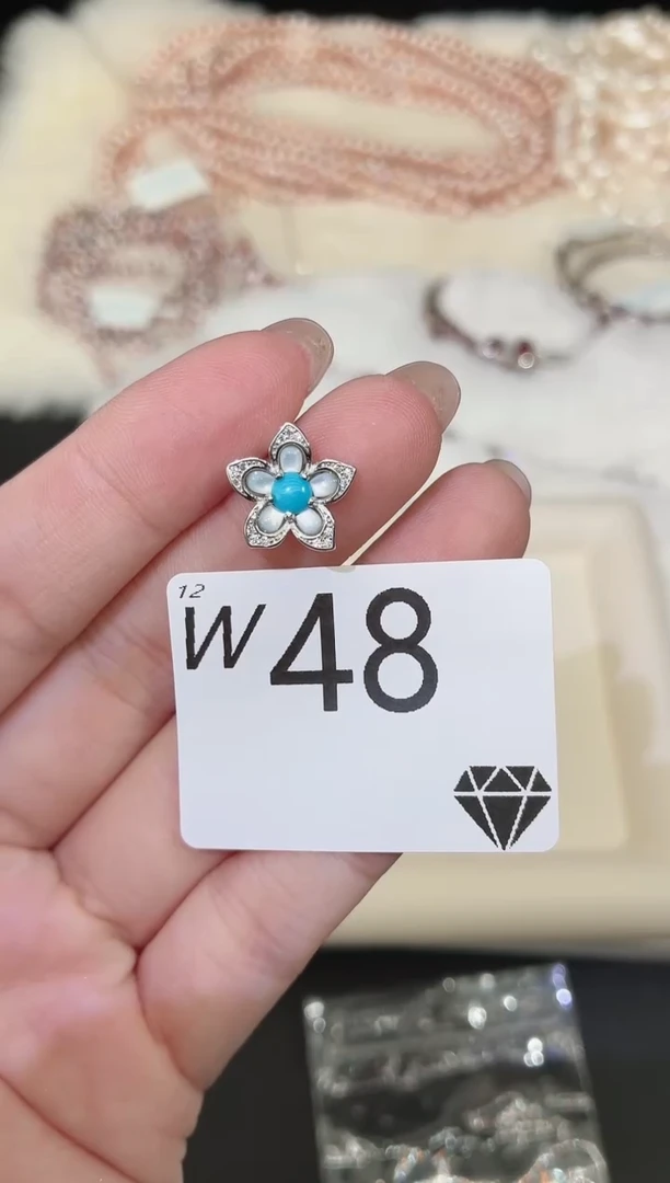 无925银多样性发一W48