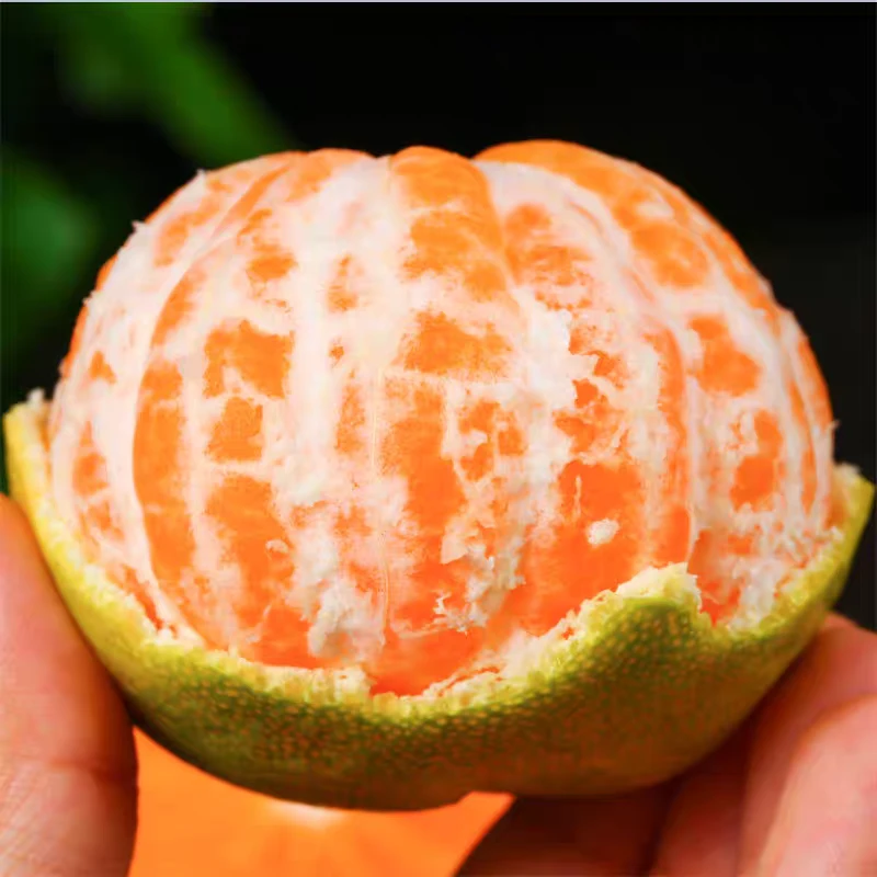 蜜桔约500g