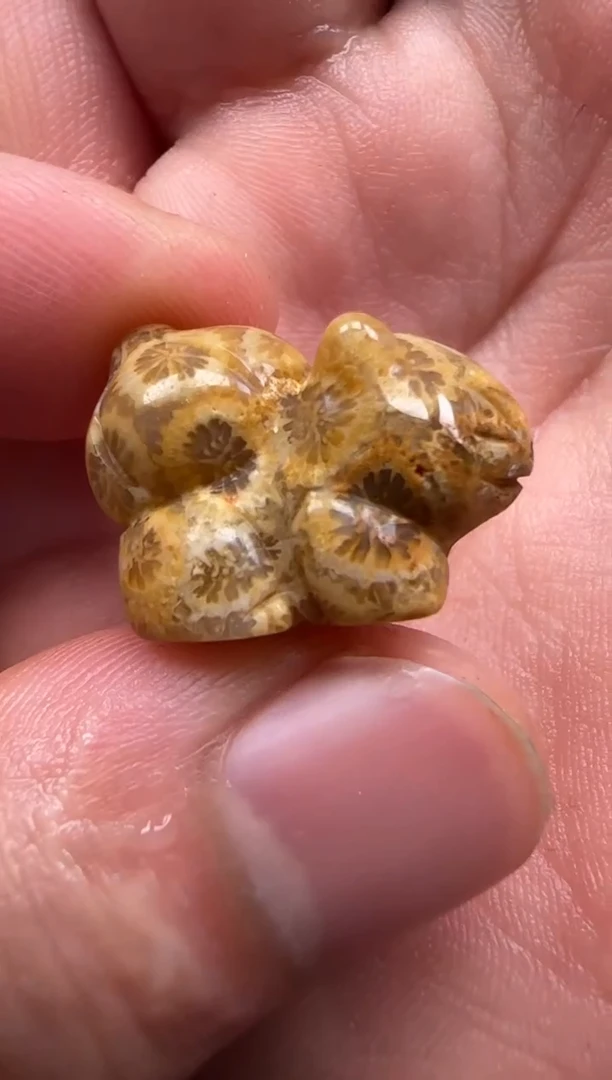 【闪购商品】硅化珊瑚（珊瑚玉）颈饰未镶嵌548