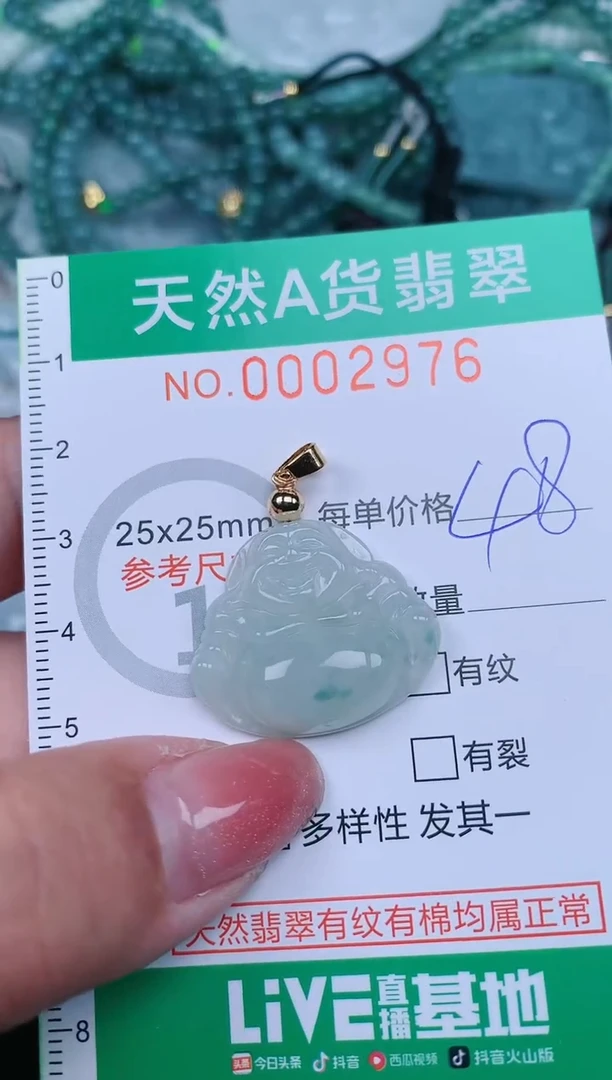 【闪购商品】翡翠颈饰未镶嵌.0002976