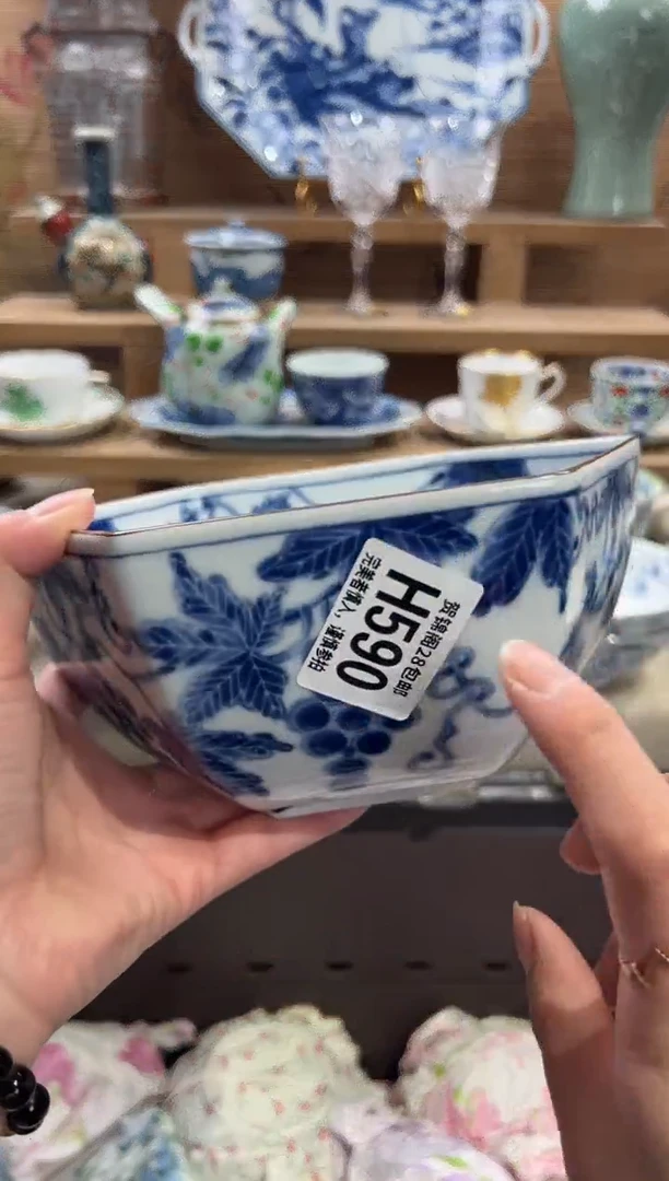 瓷片兰*       H590