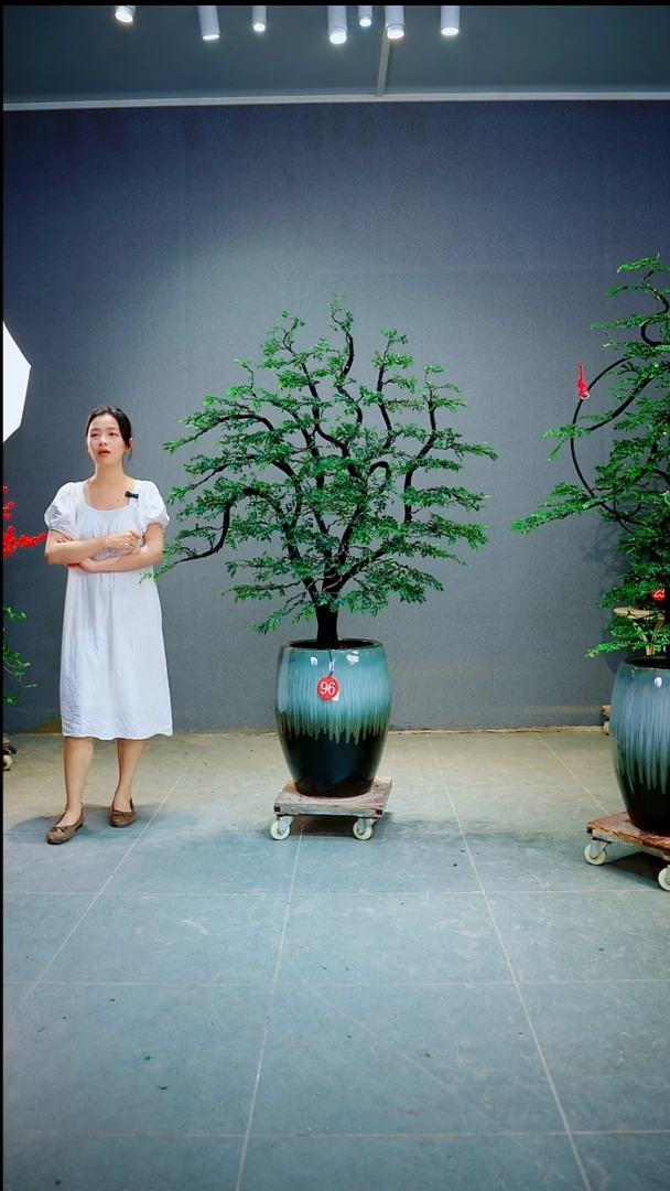 当前无花朵，栽培后可花朵用****7一物一拍绿植